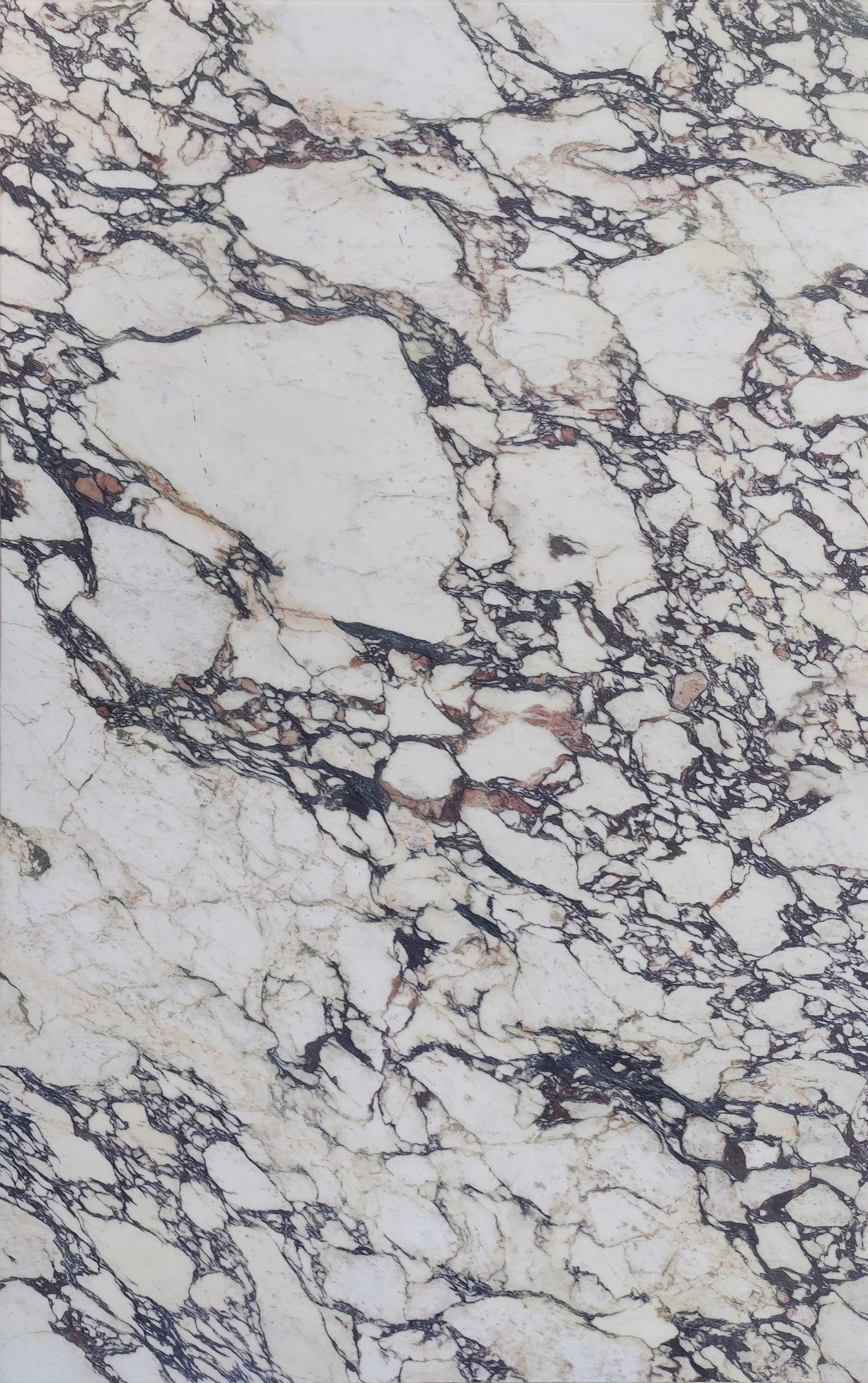 LVNS1803 Calacatta Viola Lavistone Natural Stone