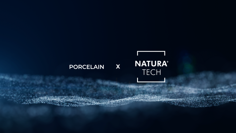 Lavistone Porcelain Natura+ Tech